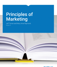 Marketing Principles - Version 2.0